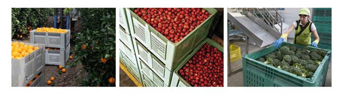 product-1-1 bulk container usage