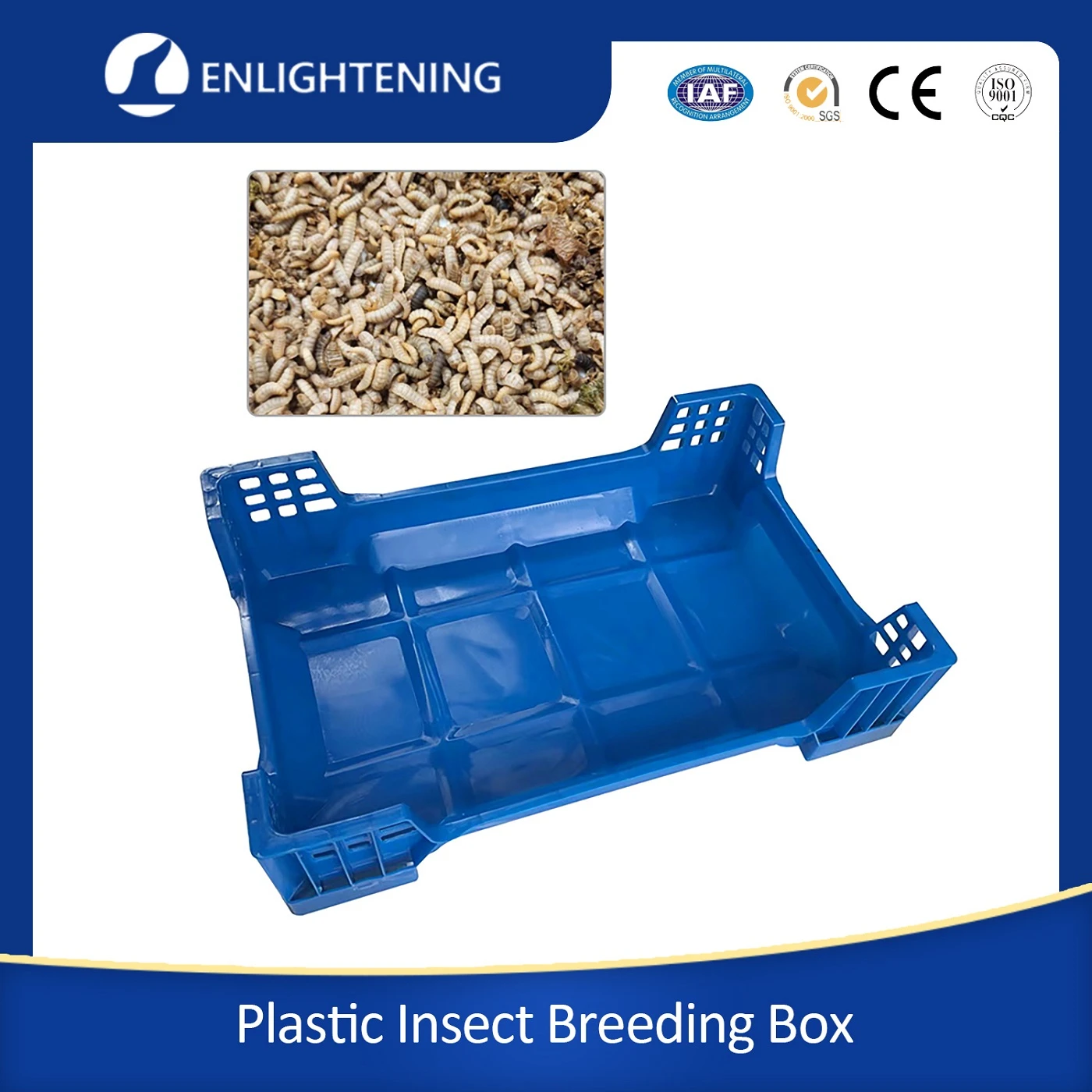 product-1400-1400 product-1400-1400