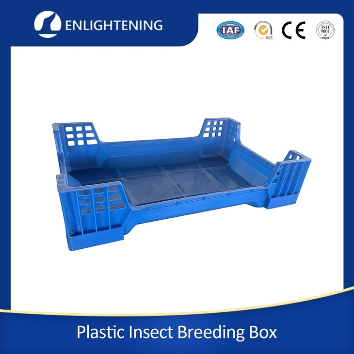 Black Soldier Fly Larvae Box factory